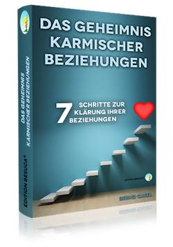 karmische_Beziehungen_Buch_3D2